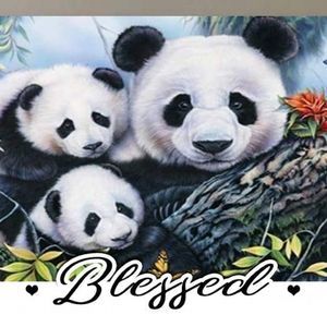 Meet your Posher, Chanda